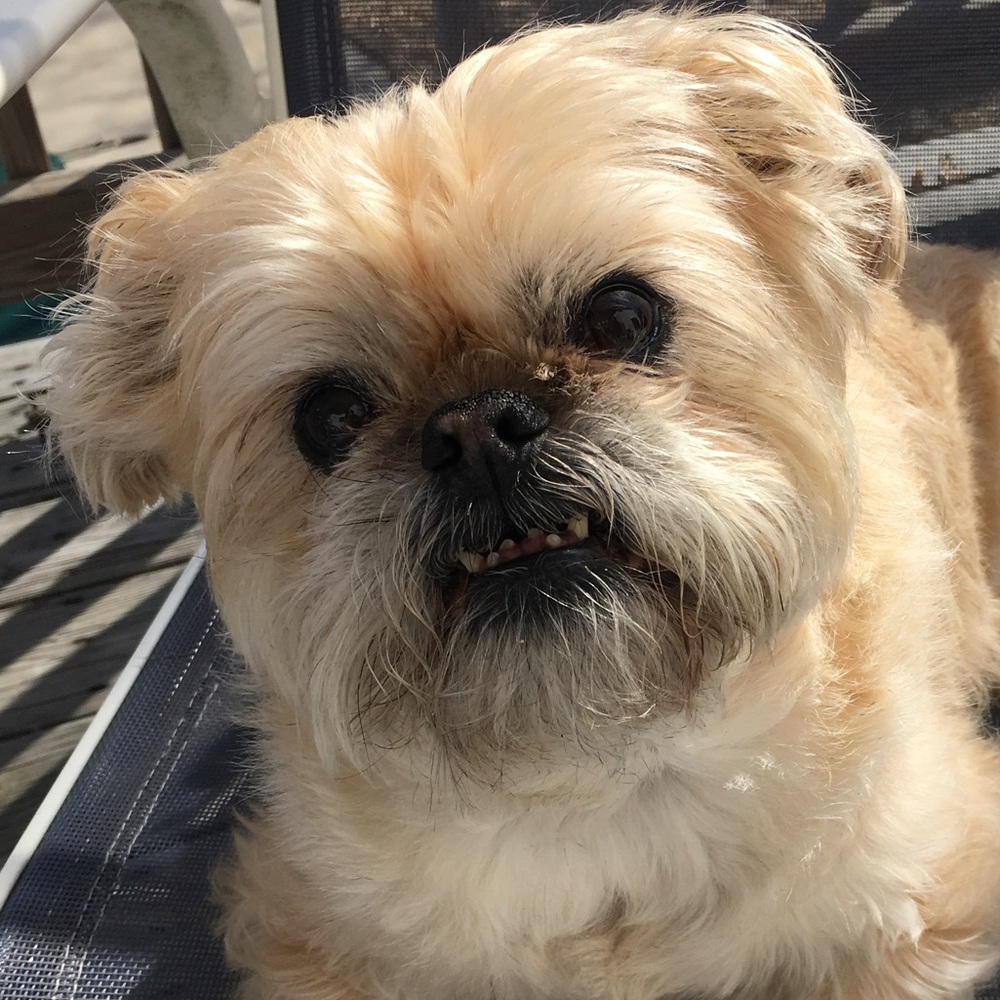 Meet your Posher, Kristie